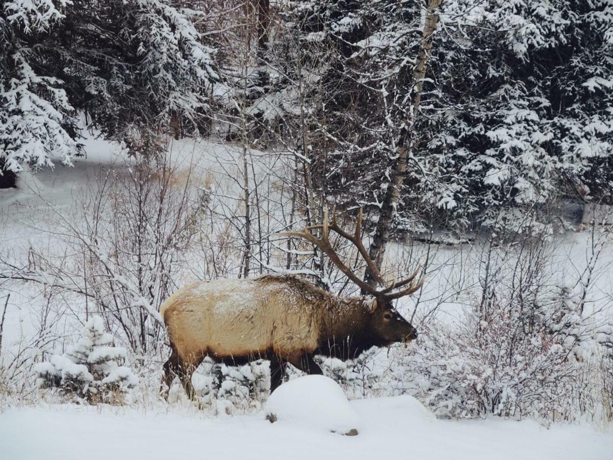 Romantic Riversong 3* Estes Park