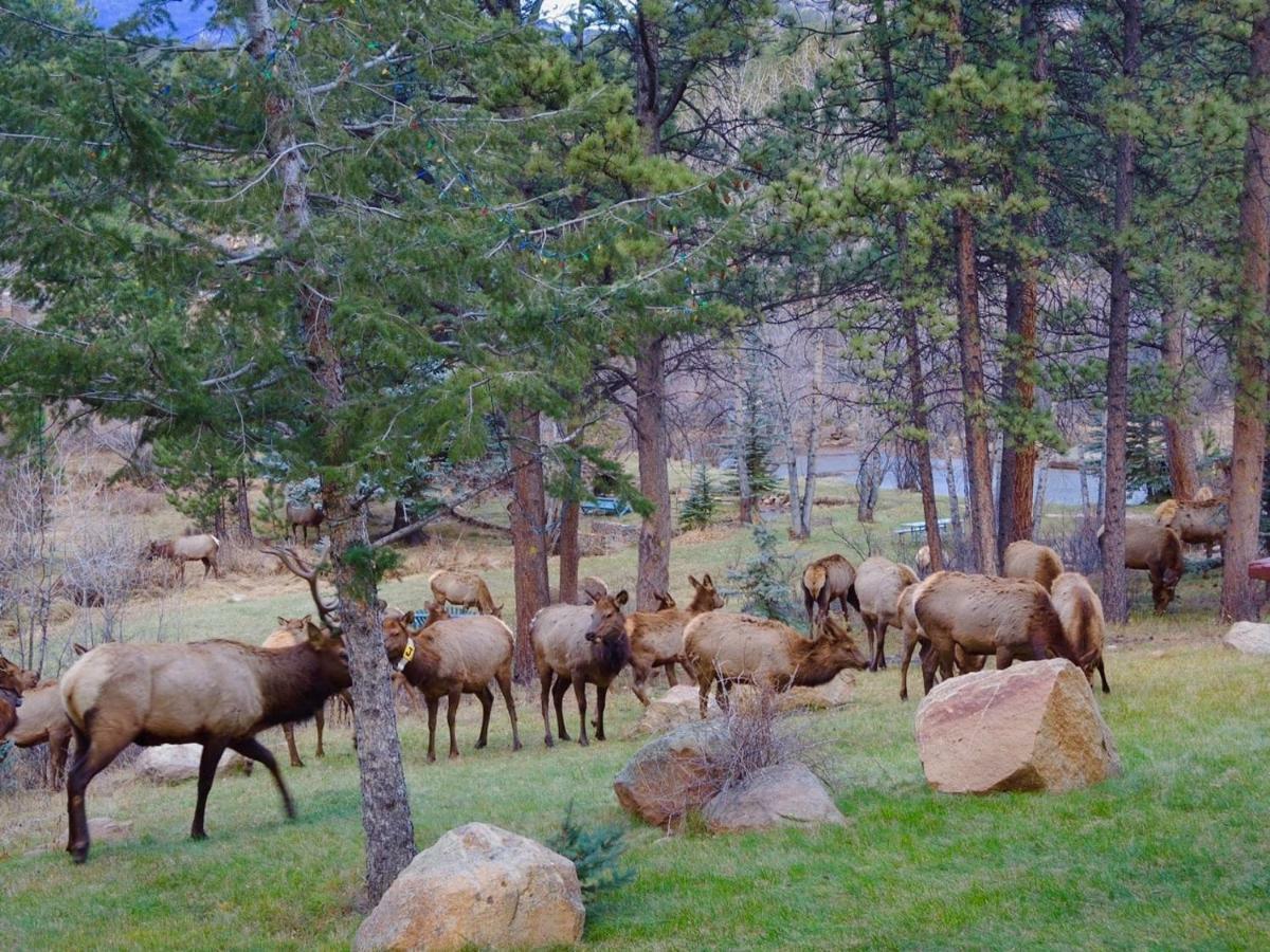 Romantic Riversong Estes Park