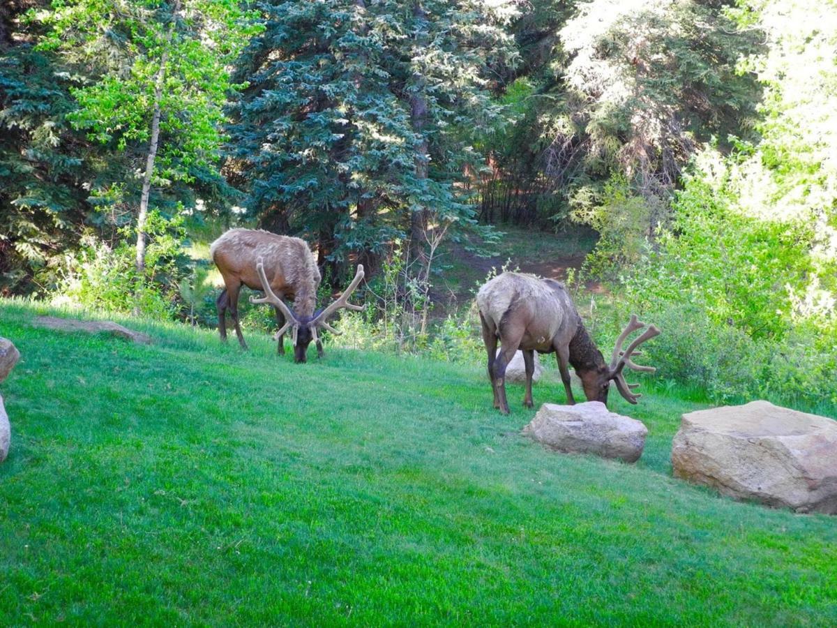 Romantic Riversong 3* Estes Park